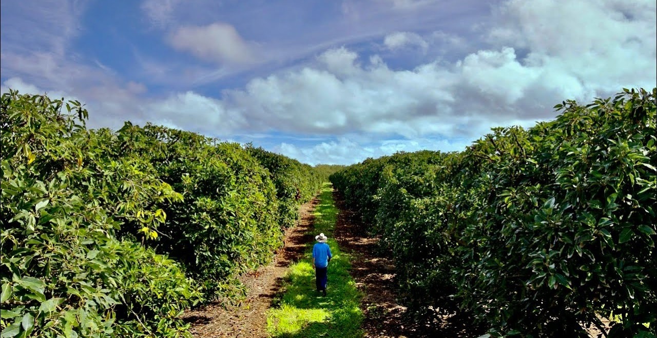 Sustainability: Corteva Agriscience is making it happen